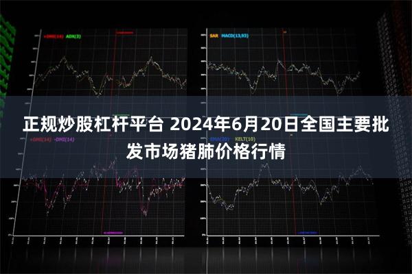 正规炒股杠杆平台 2024年6月20日全国主要批发市场猪肺价格行情